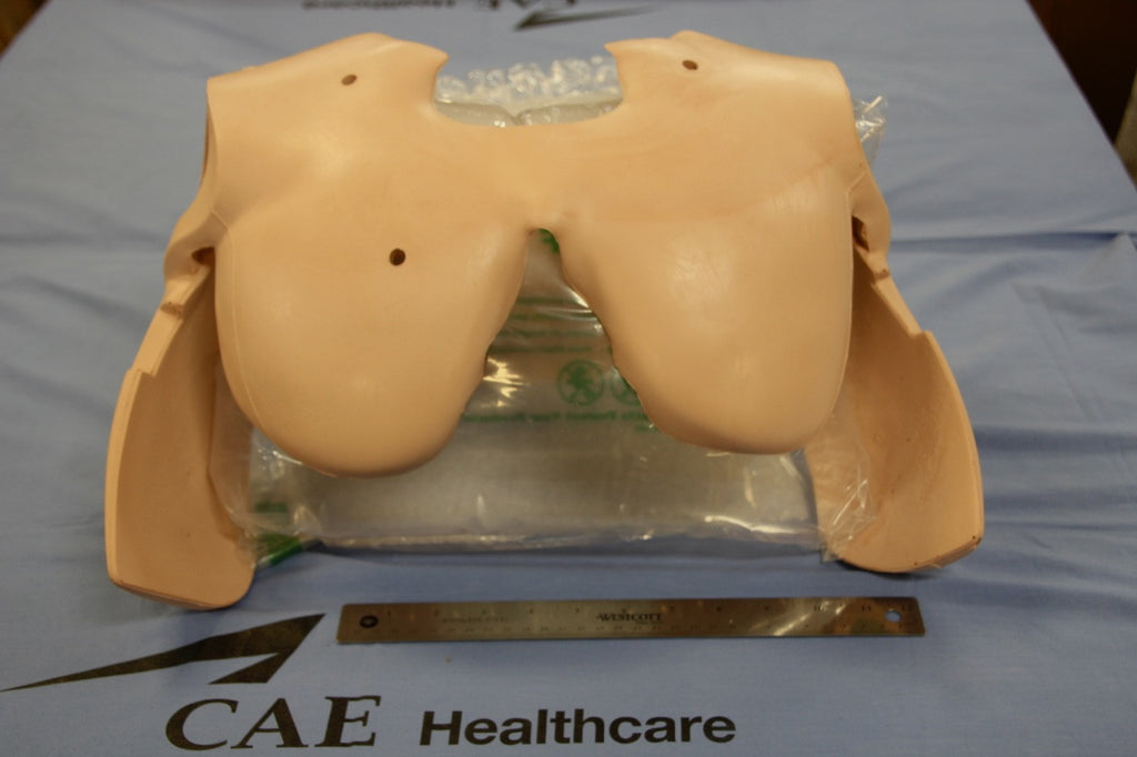 PECTORAL CHEST FOAM