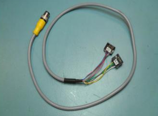 CA, HEAD