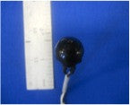 CA, ON  OFF PUSHBUTTON, OD