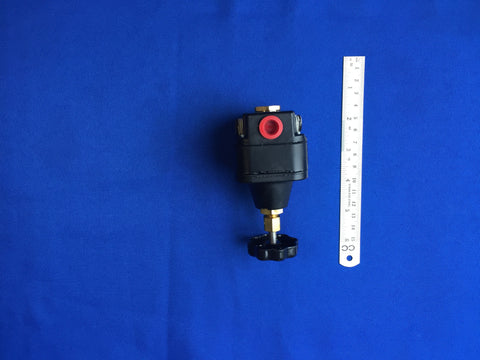 REGULATOR, PRESSURE, MINI