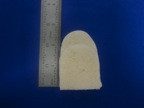 TONGUE FOAM-ADV ARWY