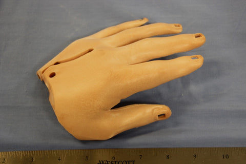 HAND, LEFT, DORSAL, ISTAN