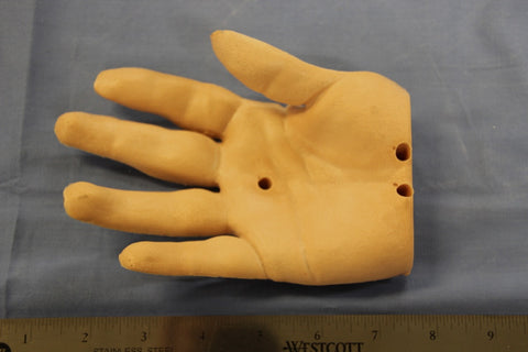 HAND, RIGHT PALMER