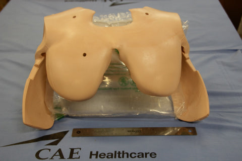 PECTORAL CHEST FOAM