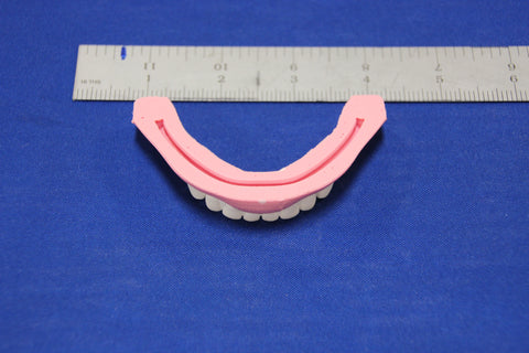 TEETH, LOWER