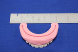TEETH, UPPER