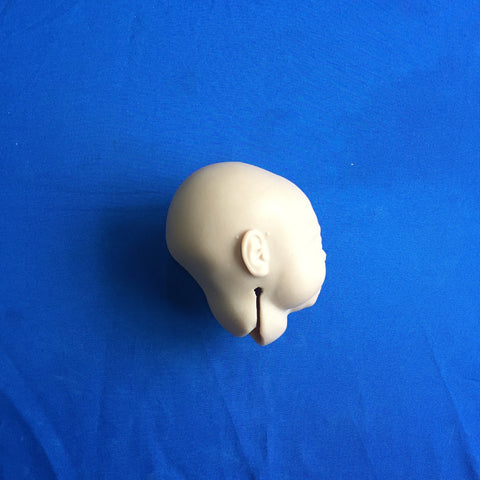 FETUS, HEAD, SKIN