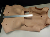 TORSO, SKIN