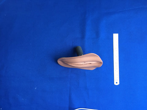 GENITALIA,FEMALE,VERS D