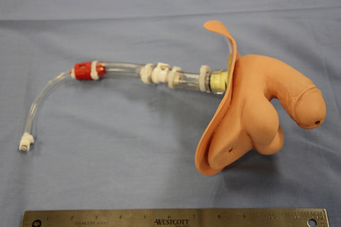 ASSY, GENITALIA, MALE, ORIGINAL PPVC, ISTAN