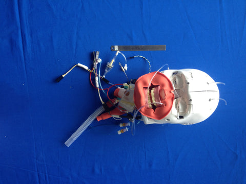 ASSY, HEAD, ISTAN, REACTIVE EYES,TRU-CORP AIRWAY