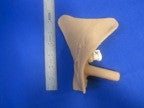 ASSY, FEMALE GENITALIA