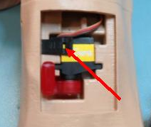 ASSY, DORSALIS PEDIS PULSER, LEFT