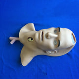 ASSY, FACE AND AIRWAY, CAESAR
