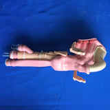 ASSY, AIRWAY, LUCINA