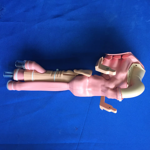 ASSY, AIRWAY, LUCINA